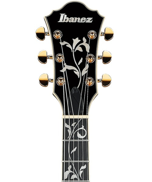 Exclusiva en Veerkamp Online Ibanez Guitarra Eléctrica Negro AS93SP-BK, Artcore Expressionist