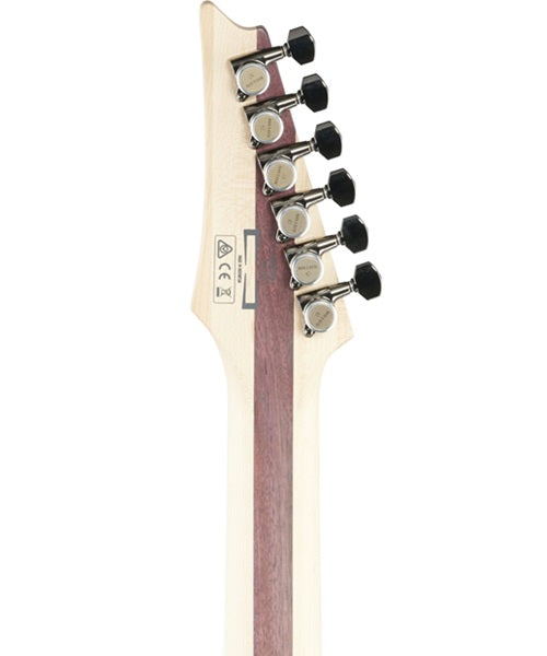 Guitarra Eléctrica Ibanez Iron Label RGIB21-BK Baritono Negra