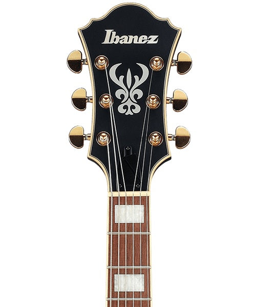 Guitarra Eléctrica Ibanez Artcore AF75G-BKF Negro Mate