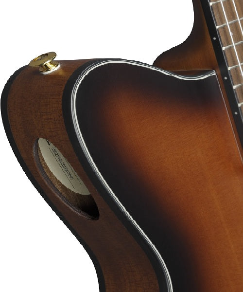 Guitarra Electroacústica Ibanez FRH10N-BSF Café Sombreado Negro Mate