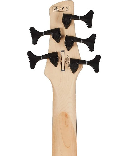 Bajo Eléctrico Ibanez Gio GSR205SM-NGT Sombreado de 5 Cuerdas