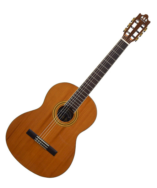 Guitarra Clásica Tres Pinos TPCG-0800 - Natural