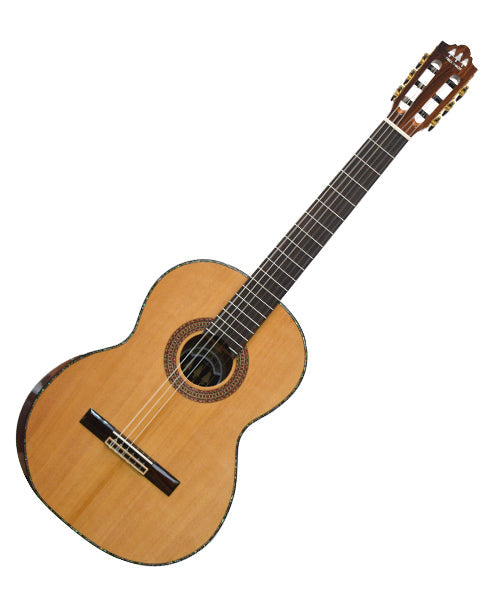 Guitarra Clásica Tres Pinos TPCG-1100 - Natural
