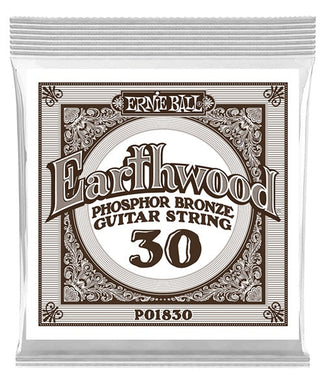 Ernie Ball Cuerda 