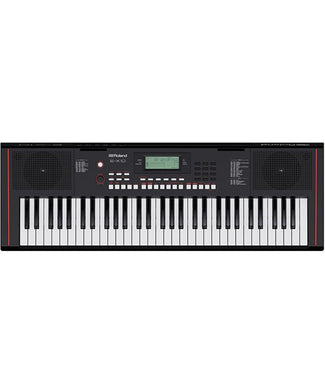 Roland Teclado Arreglista Portátil E-X10, 61 Teclas
