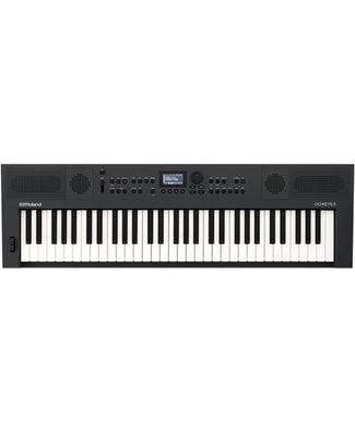 Roland Teclado Digital 61 Teclas GOKEYS5-GT Grafito con Adaptador de Corriente