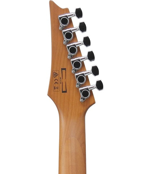 Guitarra Eléctrica Ibanez Gio GRG121SP-BMC Azul Metálico Tornasol