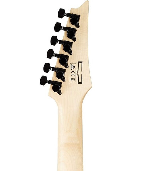 Guitarra Eléctrica Ibanez Gio GRGR221PA-AQB Azul Transparente Sombreado