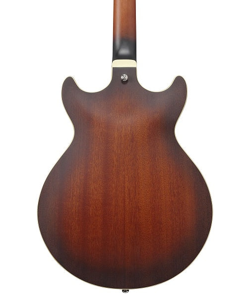 Ibanez Guitarra Eléctrica Café Mate AM53-TF, Artcore