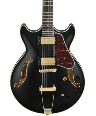 Ibanez Guitarra Eléctrica Negra AMH90-BK, Artcore Expressionist