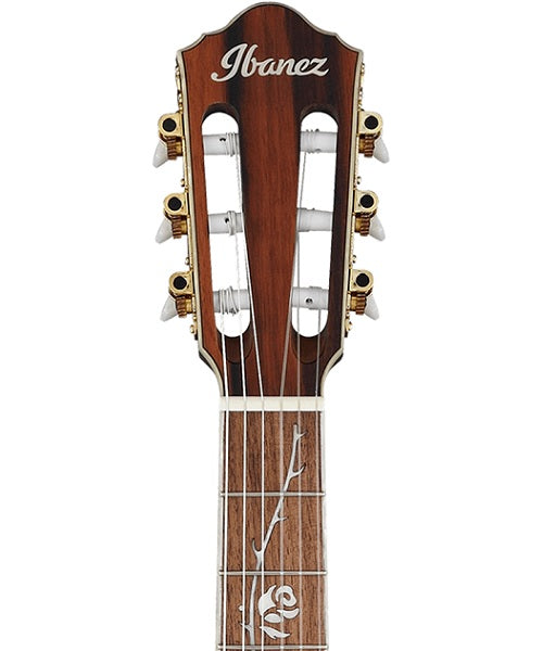 “Exclusiva en Veerkamp Online” Ibanez Guitarra Electroacústica Negro Transparente Mate TOD10N-TKF, Signature Tim Henson