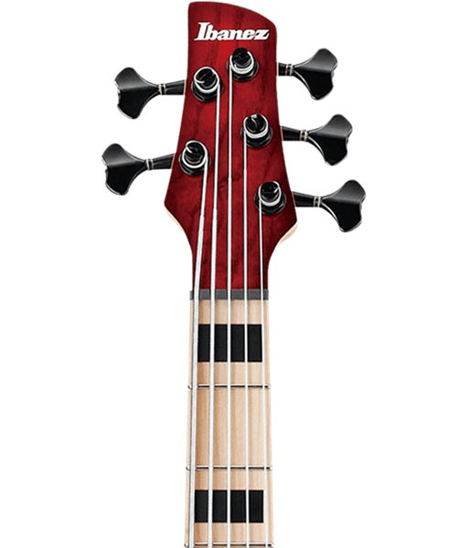 Exclusiva en Veerkamp Online Ibanez Bajo Eléctrico 5 Cuerdas Vino Transparente/Sombreado Rojo ANB205-TWB con Funda, Adam Nitti