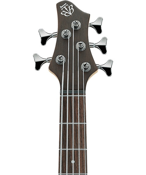 Exclusiva en Veerkamp Online Ibanez Bajo Eléctrico 5 Cuerdas BTB605-TGF Gris Transparente Mate, Serie BTB