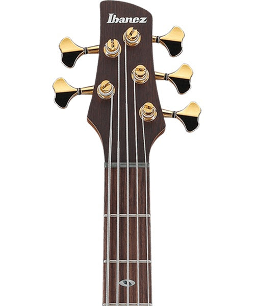 Exclusiva en Veerkamp Online Bajo Eléctrico Ibanez 5 Cuerdas SR6605-GFB Entintado Azul/Sombreado Azul con Estuche, SR Prestige