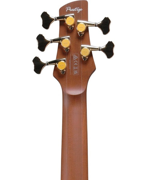 Exclusiva en Veerkamp Online Bajo Eléctrico Ibanez 5 Cuerdas SR6605-GFB Entintado Azul/Sombreado Azul con Estuche, SR Prestige