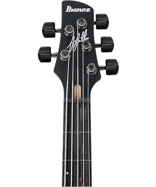 Exclusiva en Veerkamp Online Ibanez Bajo Eléctrico 5 Cuerdas Ámbar Transparente/Sombreado Rojo/Negro GWB205-TQF con Funda Fretless, Gary Willis