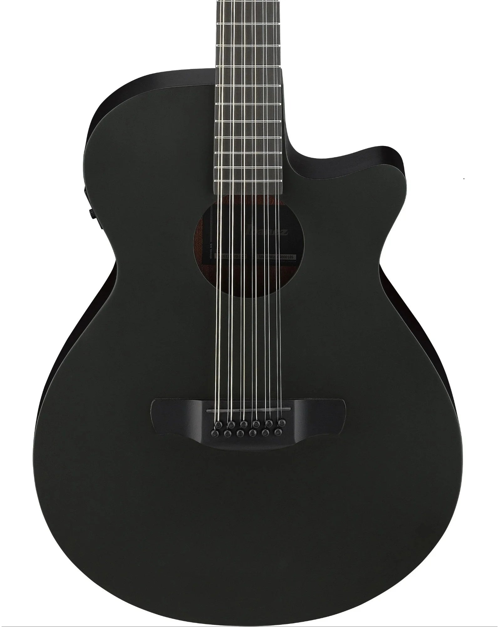Guitarra Electroacústica Ibanez AEG1221-BOT Negro Mate de 12 Cuerdas