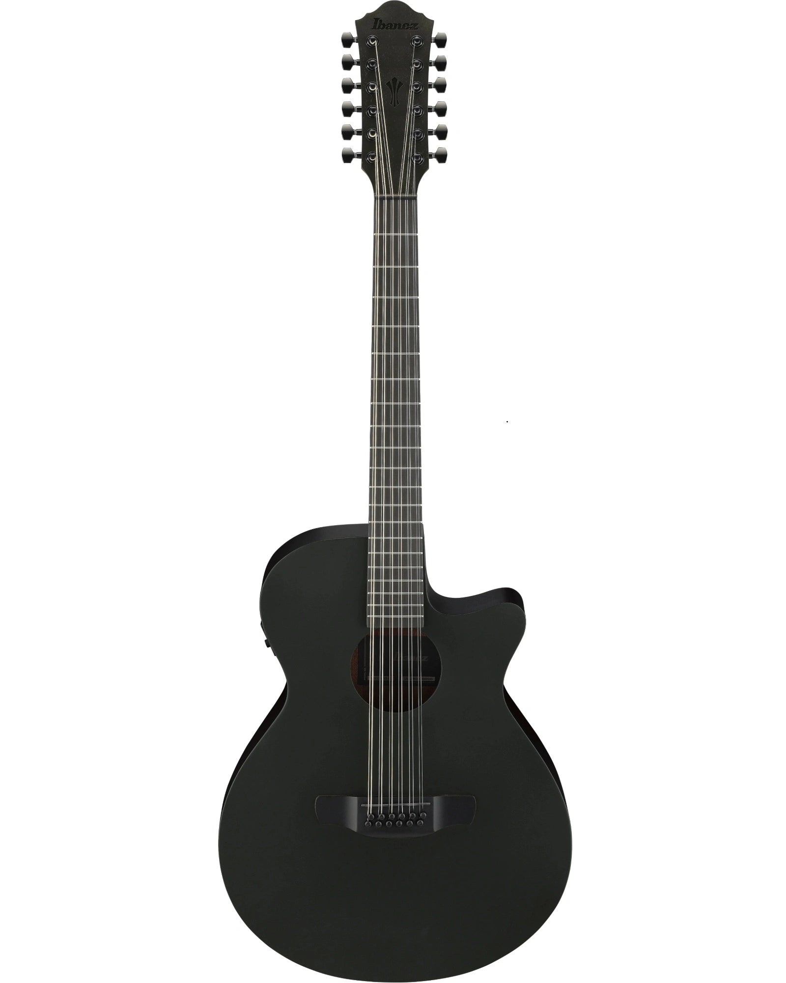 Guitarra Electroacústica Ibanez AEG1221-BOT Negro Mate de 12 Cuerdas