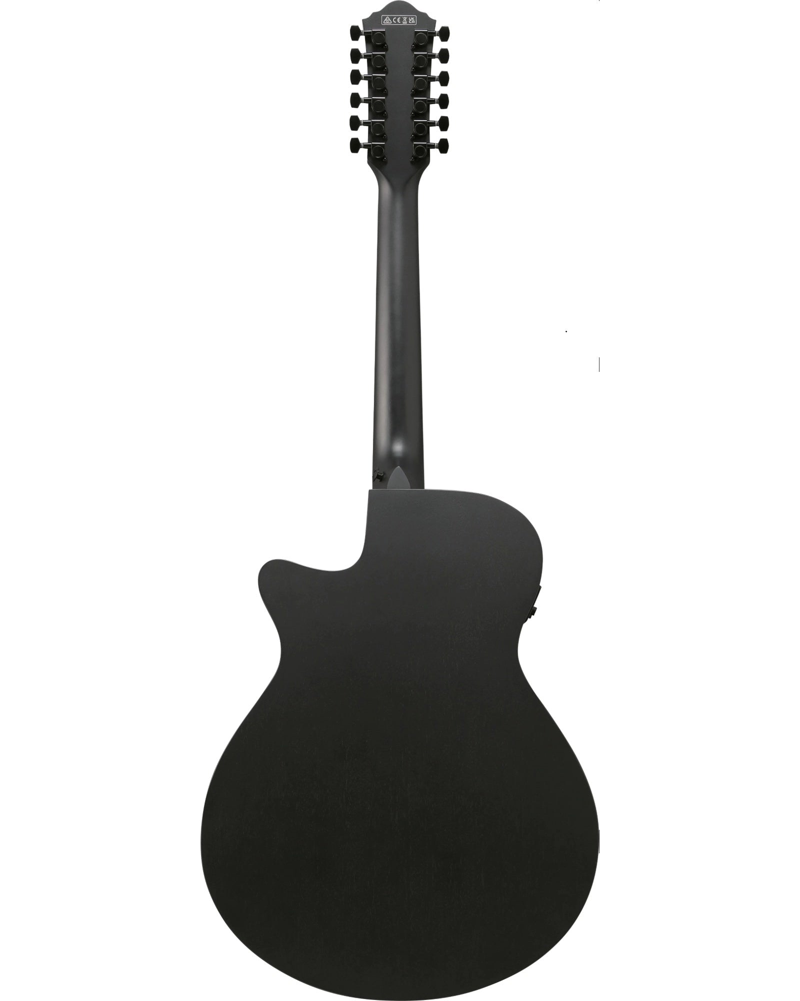 Guitarra Electroacústica Ibanez AEG1221-BOT Negro Mate de 12 Cuerdas